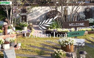 🕊Garden Tour🕊65：シンボルツリーのジュンベリーと、種から育てたこだわりの花壇や鉢植えのお花が一年を通して楽しませてくれるお庭