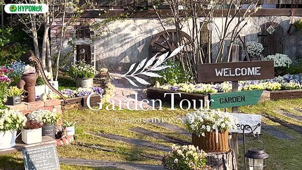 🕊Garden Tour🕊65 シンボルツリーのジュンベリーと、種から育てたこだわりの花壇や鉢植えのお花が一年を通して楽しませてくれるお庭