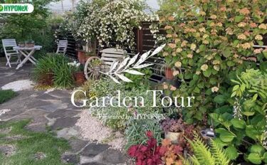 🕊Garden Tour🕊66 種類が豊富なアジサイが印象的な、和風の家の外観と芝生の庭に合わせた和洋折衷なお庭