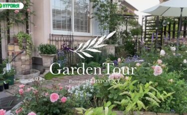 🕊Garden Tour🕊67 ローメンテで寛げるバラの庭を目指して、バラの庭からナチュラルガーデンへと移り変わっていったお庭