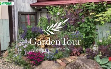 🕊Garden Tour🕊68 借家の日本庭園風のお庭を、コツコツと土づくりやDIYを行いナチュラルガーデンに仕立てた見どころ満載のお庭