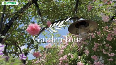 🕊Garden Tour🕊69：バラや構造物一つ一つにエピソードのある家族の思い出がいっぱいのお庭