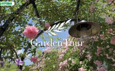 🕊Garden Tour🕊69：バラや構造物一つ一つにエピソードのある家族の思い出がいっぱいのお庭
