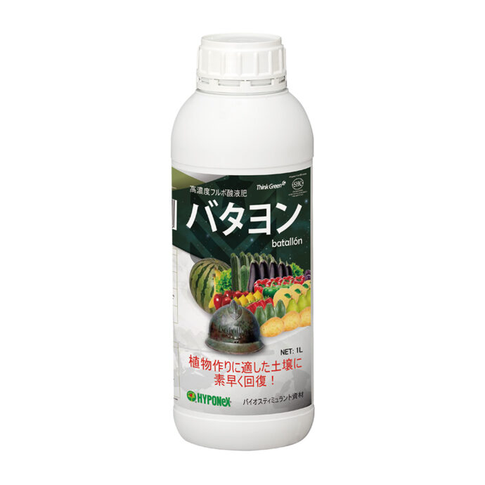 バタヨン