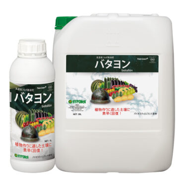 バタヨン