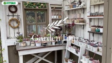 🕊Garden Tour🕊54：手作りの多肉小屋に色鮮やかな多肉植物が可愛らしく並ぶお庭