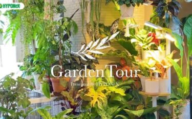 🕊Garden Tour🕊55：家にある植物の９割が斑入りの観葉植物☆テレビの両サイドに色鮮やかな植物が並ぶお部屋