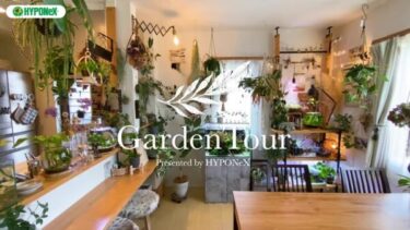 🕊Garden Tour🕊56：水辺のある暮らしをテーマに、水槽と植物をバランスよく配置し、流木やドライフラワーを織り交ぜながらナチュラルな癒し空間を演出したお部屋