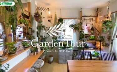 🕊Garden Tour🕊56：水辺のある暮らしをテーマに、水槽と植物をバランスよく配置し、流木やドライフラワーを織り交ぜながらナチュラルな癒し空間を演出したお部屋