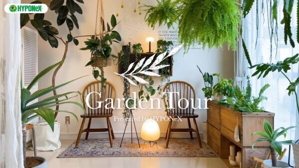 🕊Garden Tour🕊57植物は暮らしに彩りを与える、生きるインテリア。より植物が映えるような配置を考え、バランスよくハンギングしたお部屋