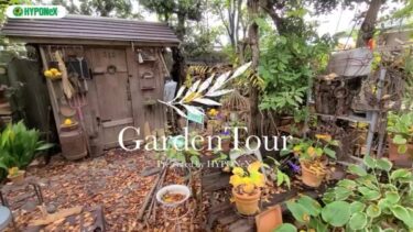 🕊Garden Tour🕊48：夕暮れ時には焚き火をしながら庭飲みを楽しめる、ケヤキの落ち葉で覆われ野鳥のさえずりが聞こえる、自然豊かなお庭