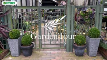 🕊Garden Tour🕊49：ガーデニンリビングでくつろげるアプローチがおしゃれなお庭