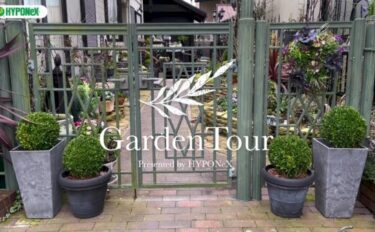 🕊Garden Tour🕊49：リビングから続くガーデニンリビングから、庭の花を見ながらくつろげる、コツウォルズストーンを敷き詰めたアプローチがおしゃれなお庭