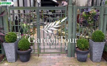 🕊Garden Tour🕊49：ガーデニンリビングでくつろげるアプローチがおしゃれなお庭
