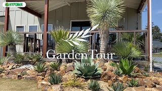 🕊Garden Tour🕊53：石組みしたドライガーデンが広がる高低差にこだわって植栽されたお庭