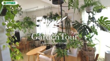 🕊Garden Tour🕊43：目標はジャングルのようなリビング！ハンギングや棚、突っ張り棒を利用して飾られた150種類以上の植物に囲まれたお部屋