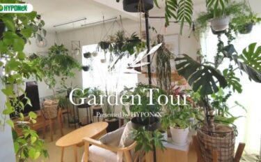 🕊Garden Tour🕊43：目標はジャングルのようなリビング！ハンギングや棚、突っ張り棒を利用して飾られた150種類以上の植物に囲まれたお部屋