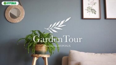 🕊Garden Tour🕊46：インテリアに調和したグリーンとベランダが魅力的なお部屋