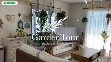 🕊Garden Tour🕊51：ハンギングした植物が朝日を浴びてキラキラと輝くお家