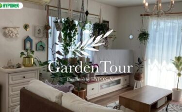 🕊Garden Tour🕊51：ハンギングした植物が朝日を浴びてキラキラと輝くお家