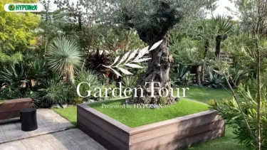 🕊Garden Tour🕊38：オージープランツやネイティブプランツを100種類以上植栽したお庭