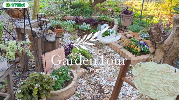 🕊Garden Tour🕊39：物語性を持たせた庭づくりを意識して、お気に入りの動物の置物とお花をコーディネートしたナチュラルガーデン