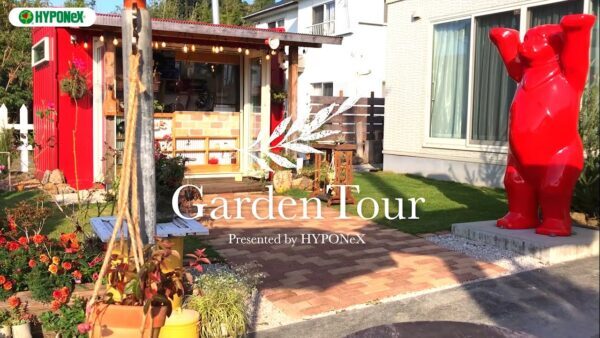 🕊Garden Tour🕊41：赤いクマがトレードマーク！古道具などディスプレイにもこだわったお庭