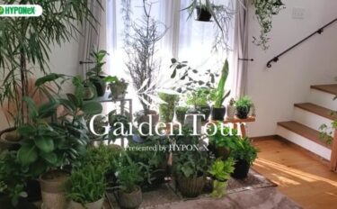 🕊Garden Tour🕊45：深い色のグリーンを集めて居心地の良い空間になるように意識した、小さなポット苗から育てた植物が窓際いっぱいに育つお部屋