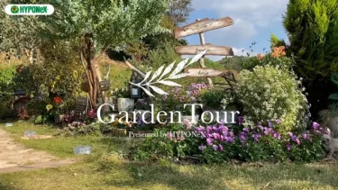 🕊Garden Tour🕊40：テラスでお庭を眺めながらコーヒータイムをしたり、BBQをしたり、お庭のある暮らしを楽しめる、全て手作りの温かみのあるお庭