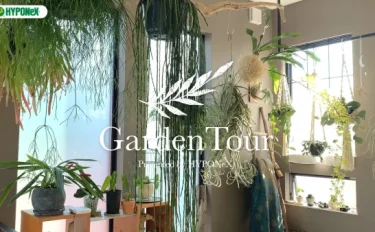 🕊Garden Tour🕊35：ハンギンググリーンや着生蘭などお気に入りの植物を育てるお部屋