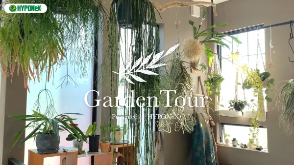 🕊Garden Tour🕊35：ハンギンググリーンや着生蘭などお気に入りの植物を育てるお部屋