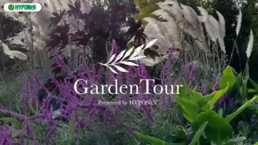🕊Garden Tour🕊36：コテージガーデンやアジサイの小道や丘、秘密の花園など四季折々楽しめるお庭