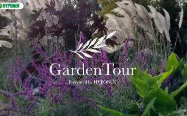 🕊Garden Tour🕊36：コテージガーデンやアジサイの小道や丘、秘密の花園など四季折々楽しめるお庭