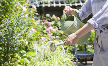 園芸を趣味で始めるには？魅力や準備のポイント、初心者におすすめの植物18選