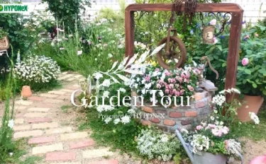 🕊Garden Tour🕊29：バラやウッドデッキの多肉植物や雑貨、DIY作品と見どころ豊富なお庭