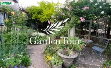 🕊Garden Tour🕊30：ガゼボやアーチで高さを出した四季を感じられるバラと宿根草のお庭