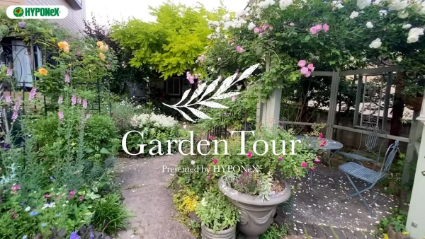 ðGarden Tourð30ïŒã¬ãŒããã¢ãŒãã§é«ããåºããåå£ãæãããããã©ãšå®¿æ ¹èã®ãåº