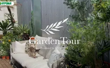 🕊Garden Tour🕊28：南国をイメージしたオージープランツ中心のテラスがおしゃれなお部屋