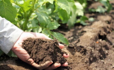 肥料の種類と使い方｜化成肥料・有機肥料の違いや選び方
