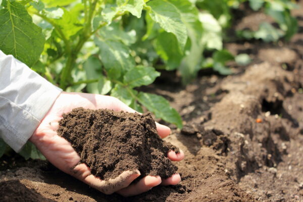 肥料の種類と使い方｜化成肥料・有機肥料の違いや選び方