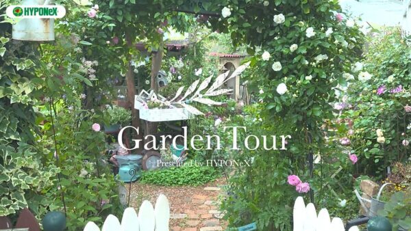 ðGarden Tourð25ïŒå£é¢ã®ãã©ãDIYãšãã£ã¹ãã¬ã€ã§èµ€æ¯ã®ã¢ã³ã®é¢šæ¯ã衚çŸãããåº