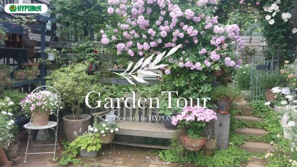 ðGarden Tourð26ïŒæäœãã®ãã³ããããŒãŽã©ã«éãæ³šããã©ã®å²ããæ¯è²ãå°è±¡çãªãåº