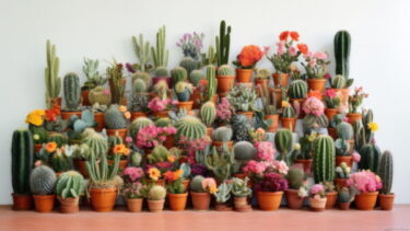 中型サボテン 複数の茎 トゲが豊富