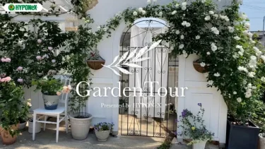 ðGarden Tourð31ïŒæäœãã®æµã建é ç©ã«ãã©ãèªåŒããã坿ããŠåªããé°å²æ°ã®ãåº
