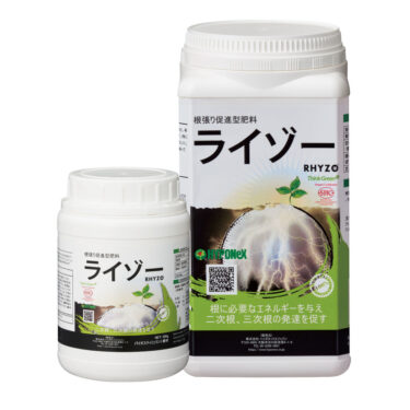 ライゾー