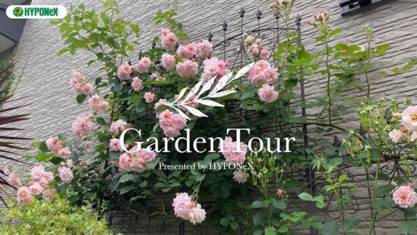 ðGarden Tourð27ïŒå€éå
·ãããŒããšå
±ã«æ¥œãããããããªã·ã§ãŒãã¬ãŒãã³