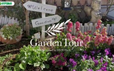 🕊Garden Tour🕊09：母親が残してくれたお花や多肉植物を大切に育てる、日当たりの良いお庭