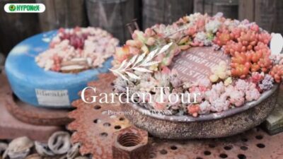 🕊Garden Tour🕊04：古道具とサビと多肉植物の組み合わせがお気に入りの