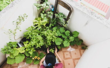 ベランダ菜園でおすすめの野菜10選！注意点も解説