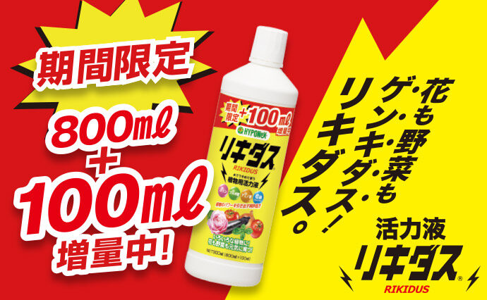 リキダス増量キャンペーン